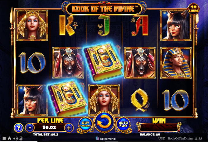 Playamo Bitcoin Casino 